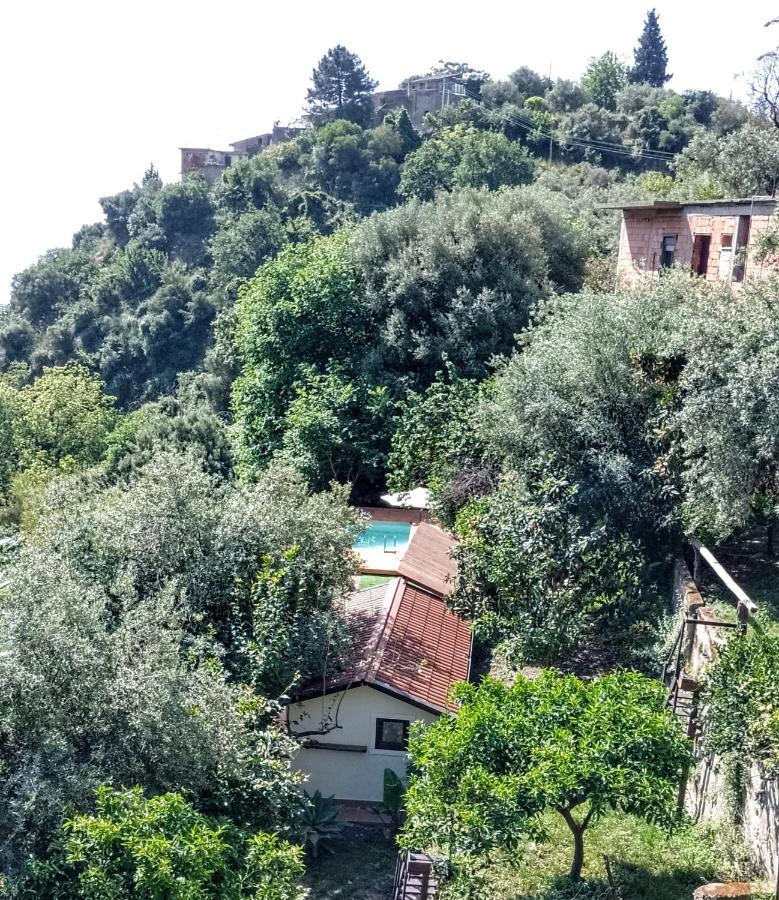 Flat With Panoramic Terrace And Private Pool Mt5X3 Διαμέρισμα Ταορμίνα Εξωτερικό φωτογραφία